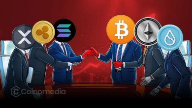 Crypto Market Bounces Amid Extreme Fear