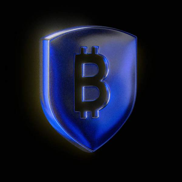 BitGoの奇妙な財務報告:0.3%の利益率と90%の負債率が共存