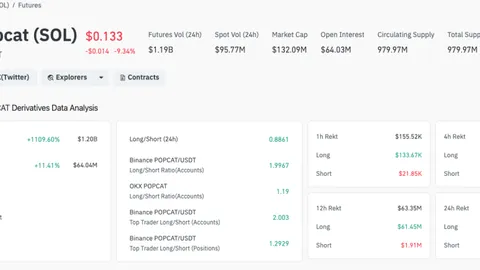 Solana Memecoin Popcat фіксує зростання обсягу на 500% на тлі звинувачень у маніпуляціях на Hyperliquid DEX
