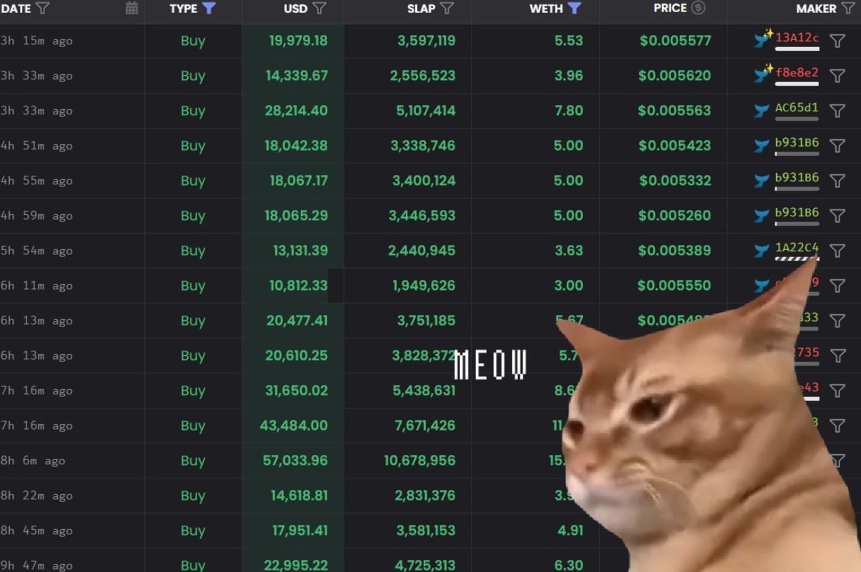 How Catslap Surged Past Expectations and Yielded a 4x Return for Investors image 1