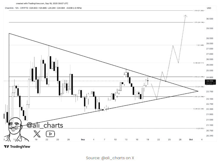 Chainlink Bulls Eye $30 Target But Must First Overcome Crucial Resistance image 0