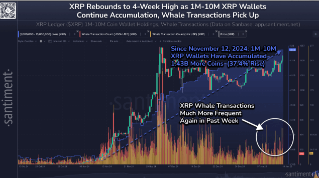 Der XRP-Preis nähert sich der 3-Dollar-Marke, da sich die Kryptowährungswale weiter ansammeln image 0