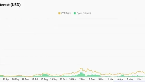 Arthur HayesはZEC価格が$10,000に設定されていると発言、その理由とは