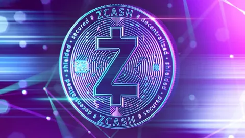 This Public Company Rebrands and Starts Accumulating Zcash
