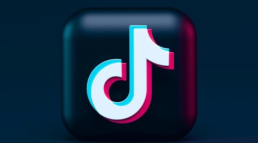 Chill Guy Meme Coin Soars to $500M Market Cap on TikTok FameJust a Chill Guy image 0