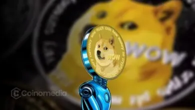 History Points to Dogecoin’s Next Moonshot