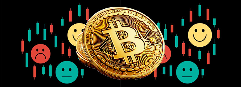 La tenencia de Bitcoin a largo plazo alcanza su punto máximo a medida que caen los depósitos en Exchanges