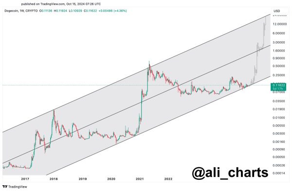 Аналитик прогнозирует рост цены Dogecoin на 8032% до $10 image 0