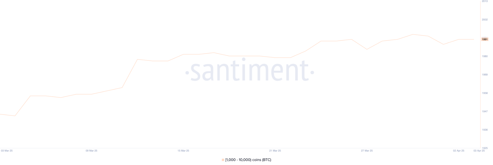 Bitcoin (BTC) lơ lững trên mức $80.000 khi cá voi án binh bất động image 0