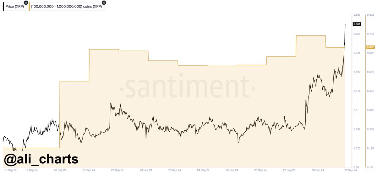 Crypto Whales Gobble Nearly $300,000,000 Worth of XRP in Just 10 Days, Says Analyst image 0