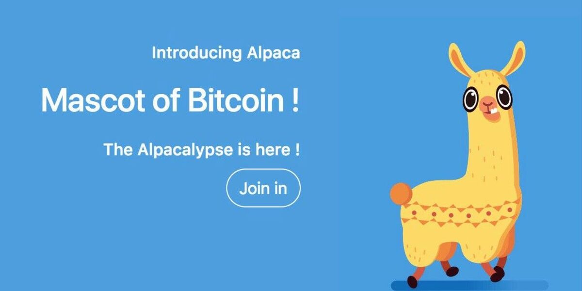 Alpacas: The Bitcoin (BTC) Mascot that Helped Bring Recognition to Cryptocurrency image 5