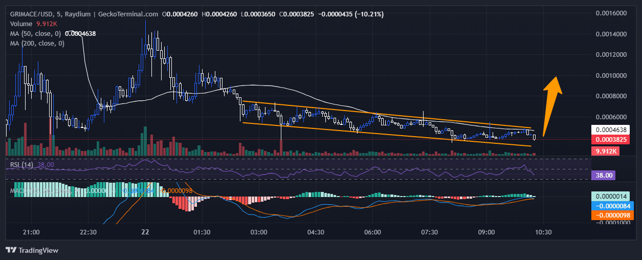 Is It Too Late To Buy GRIMACE? Grimace Price Soars 662% After McDonald’s Instagram Hack And This Might Be The Next Crypto To Explode image 1