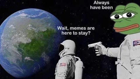 Lo que necesitas saber sobre los Meme Launchpad en diferentes blockchains