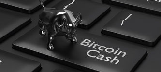 Bitcoin Cash Kurs im Aufwind: So kann BCH 500 Dollar erreichen: Prognose