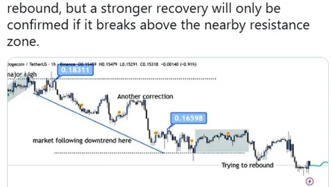 DOGE Tests a 0.165 Zone as 3 Straight Corrections Shape a Rebound Attempt