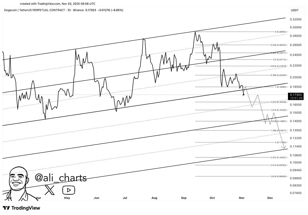 Dogecoin (DOGE) рискует потерять в цене к концу 2025 года