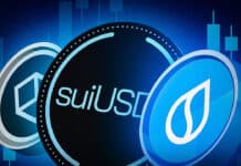 SUI Kurs könnte explodieren: SUI entwickelt Stablecoin suiUSDe mit Ethena