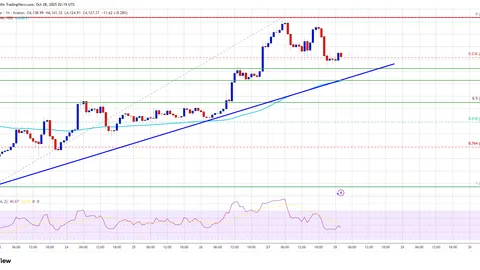 Ethereum поддерживается на снижениях — покупатели наращивают силу для следующего роста