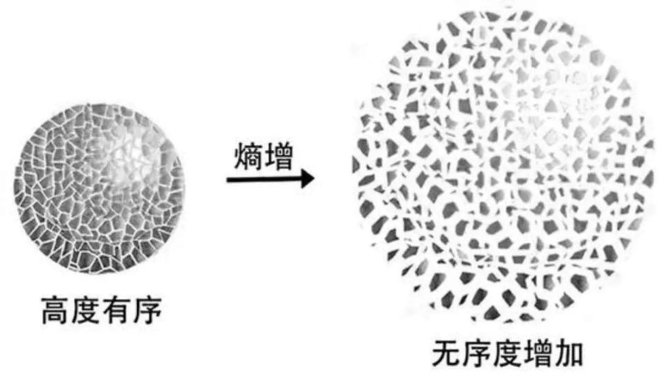 ServerFi：游戏与玩家之间的新型共生关系 image 4