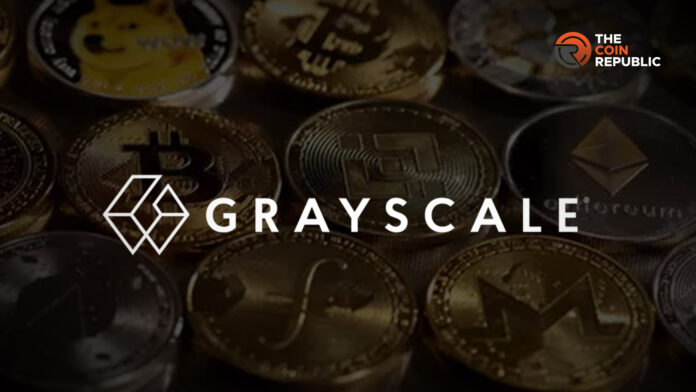 Solana – это “финансовый базар” криптовалют – Grayscale Report