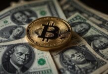 Länder mit dem höchsten Kryptowährungsanteil: So viel Kryptos sind in Privatbesitz