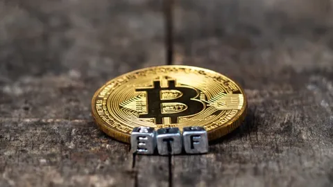 Grayscale’s Ethereum ETF Outflows Declined – How Did Bitcoin ETFs Fare?