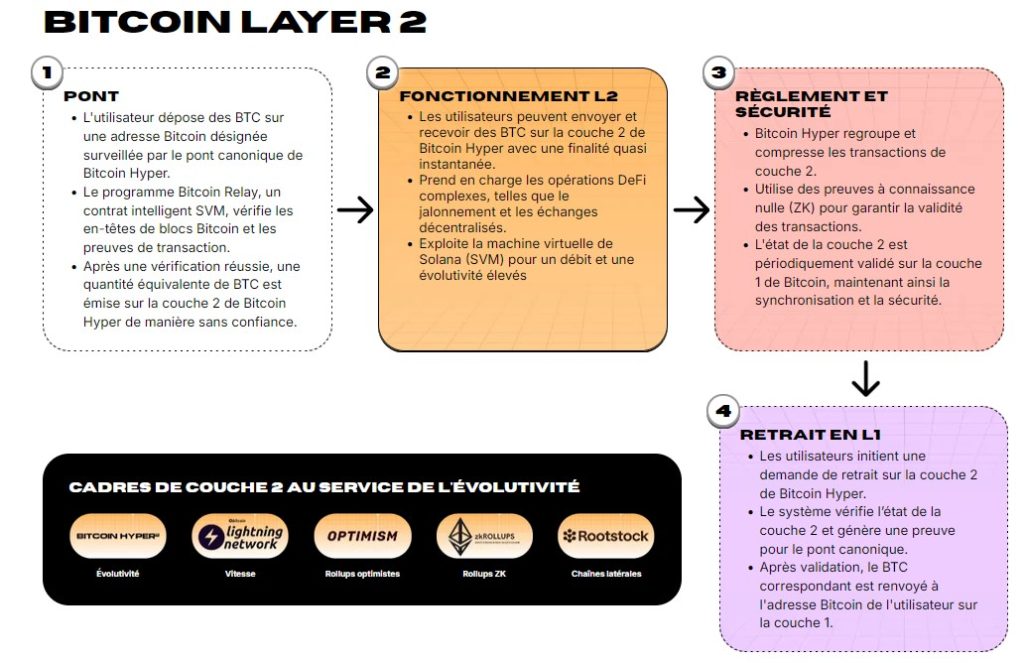 Les flux on-chain ne mentent pas : les cryptos en grosse accumulation image 1