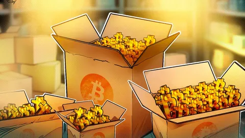 تزايد اتجاهات تراكم Bitcoin مع اقتراب الخسائر المحققة من 5.8 مليار دولار