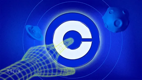 Chainlink Price Surges on Whale Buys—Yet a Key Metric Could Derail the Rally
