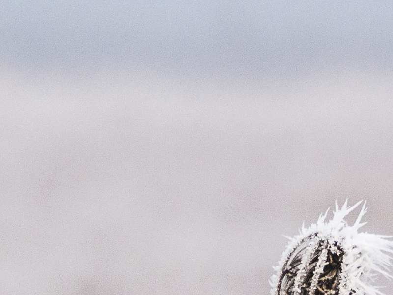 美股异动 | 加密货币概念股走低 比特币跌破8.8万美元关口