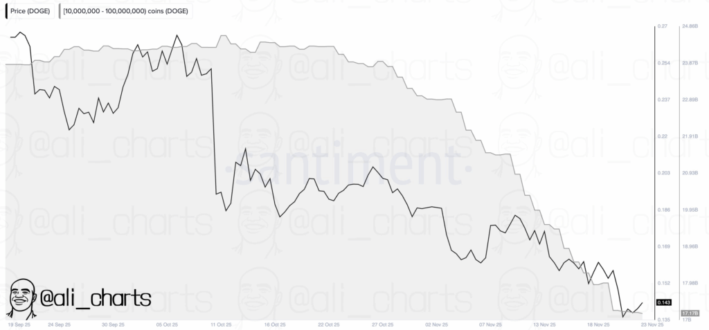 El precio de Dogecoin intenta una ruptura del 31% a pesar de la presión de la ballena DOGE image 1
