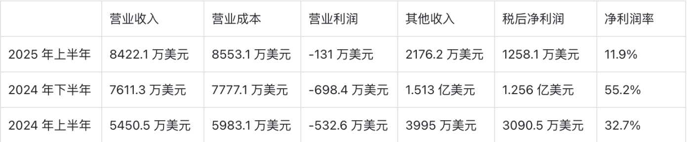 BitGoの奇妙な財務報告：0.3%の利益率と90%の負債率が共存 image 3