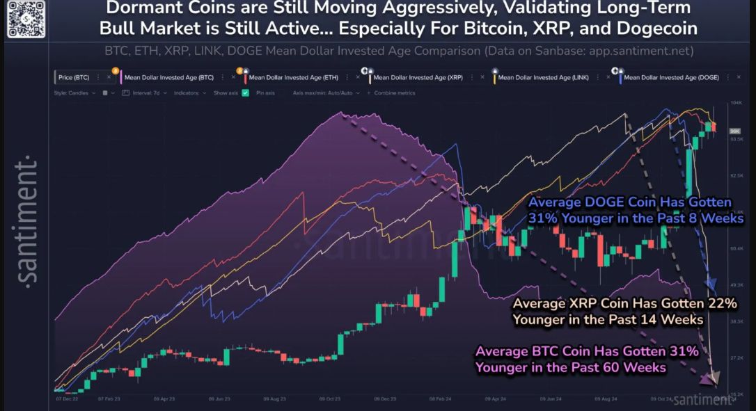 Cá voi mua dip Bitcoin và XRP trong bối cảnh chu kỳ tăng giá đang diễn ra image 3