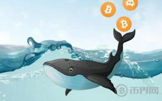 狂囤比特币:持有100个以上BTC的钱包创17个月新高