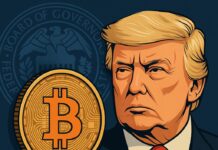 Nachfolger für Fed-Vorsitz kryptofreundlich? Trump prüft Nachfolger