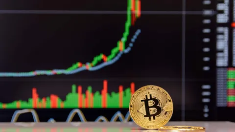 Raoul Pal Predicts Bitcoin Could Follow 2016 Patterns for Major Gains