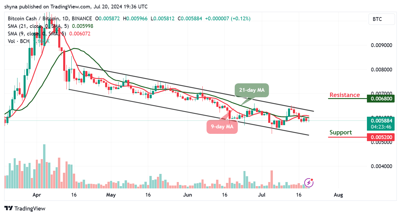 Bitcoin Cash Price Prediction for Today, July 21 – BCH Technical Analysis image 3