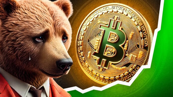 Bitcoin Kurs Prognose: Bärenmarkt? Von wegen – erst kommt das neue Allzeithoch! Sollte man jetzt Bitcoin kaufen? image 1