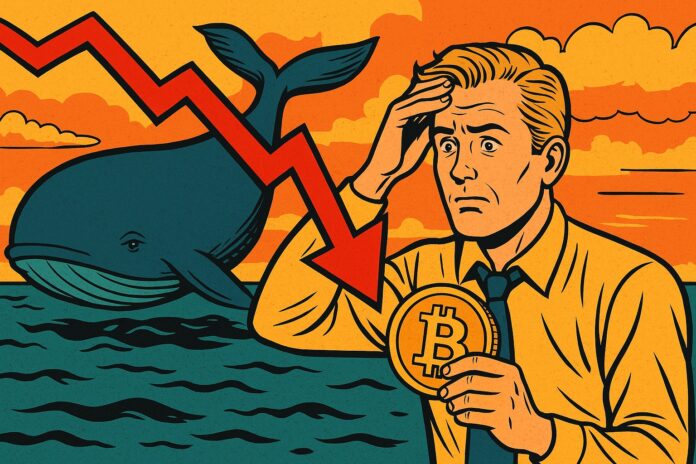 Kryptowinter oder Dezember Rallye? Kryptomarkt findet keine Richtung – Bitcoin Wale steigen aus image 0