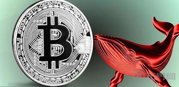 BTC徘徊58000美元,但鲸鱼活动暗示市场即将反弹! image 0