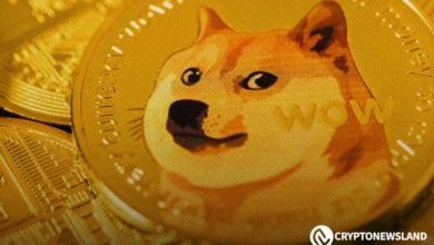 Doge Sign In $10 DOGE Cycle Top Prediction Gains Momentum as Dogecoin Price ...