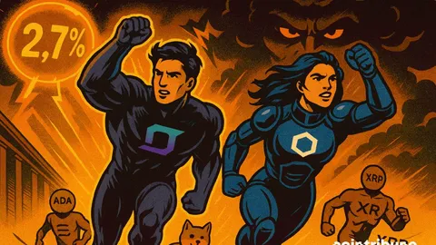 The Crypto Market Boosted by a Falling CPI: Solana and Chainlink Benefit