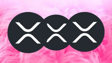 Expert Says “I Am Never Touching XRP Ever Again”. Here’s why
