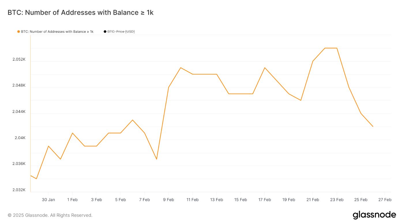 Bitcoin (BTC) chạm ngưỡng hỗ trợ quan trọng sau khi mất 11% trong tuần – Liệu có cú bật nào sắp tới? image 1