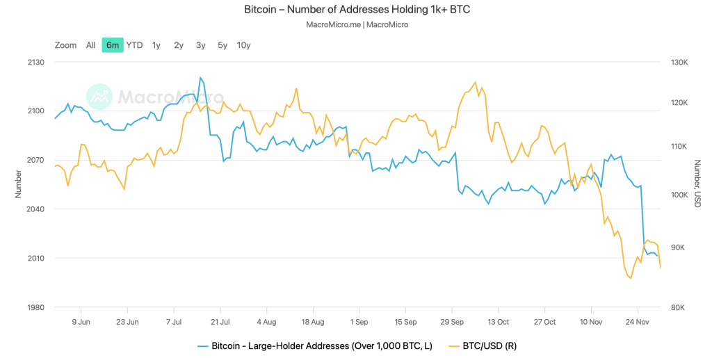 Are Bitcoin Whales Buying the Dip? On-Chain Data Reveals Their Next Move image 3