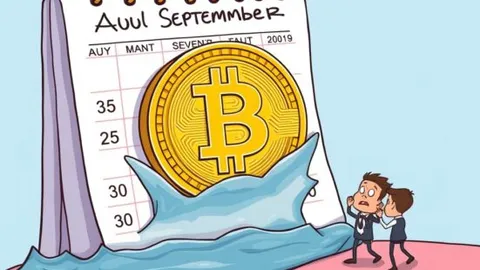 Bitcoin August September: Decoding the Historical Decline