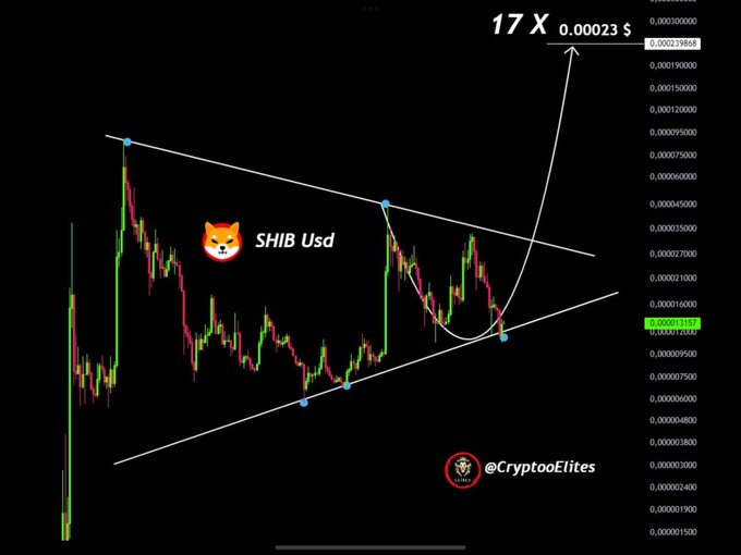 Le taux de combustion de SHIB monte en flèche : Shiba Inu suivra-t-il avec des gains de 81% ?