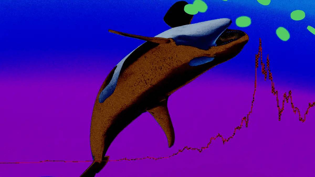 Người nắm giữ Bitcoin dài hạn đã