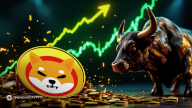 SHIB Price Surges Despite Lower Token Burning Over 24 Hours