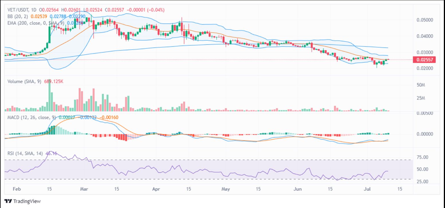 VeChain’s 2024 Struggle: Can Strategic Partnerships Outweigh Bearish Trends? image 1